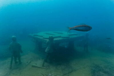 Scuba Diving, Underwater Museum, 2 Dives incl. Lunch