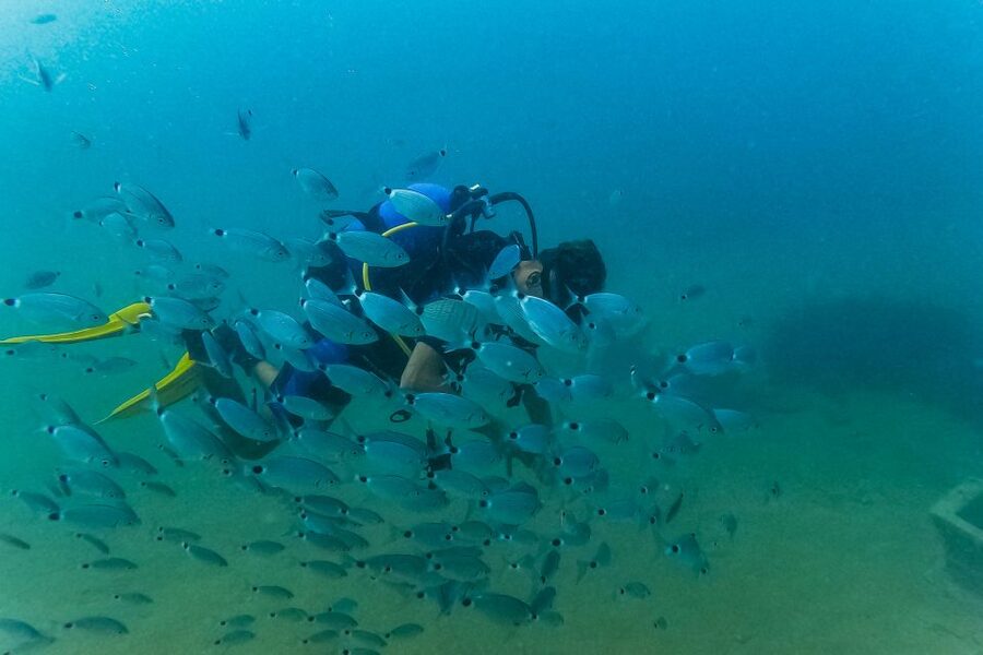 Side: Scuba Diving, Underwater Museum, 2 Dives incl. Lunch - Your first underwater session: short, guided, and built for confidence