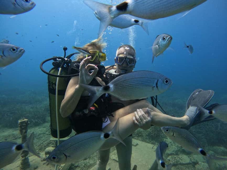 Side: Scuba Diving with Expert Diving Option - Between Sessions: Lunch, Sun Deck Time, and Snorkeling Gear On Us