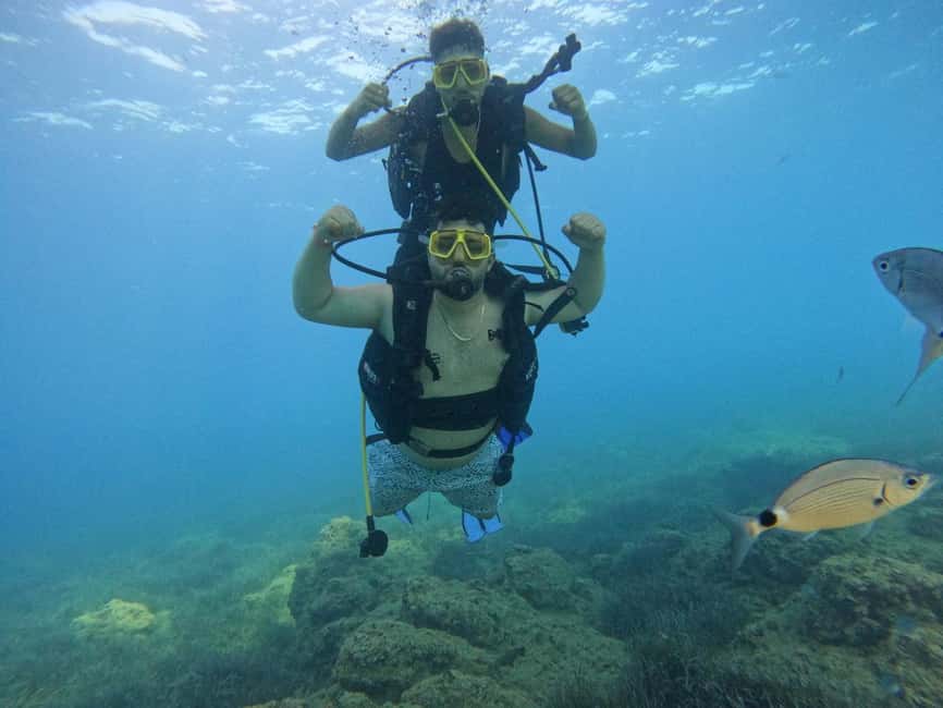 Side: Scuba Diving with Expert Diving Option - Price and Value at About $41: What You’re Really Paying For