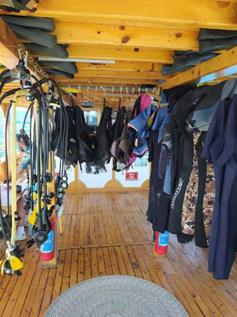 Side: Scuba Diving with Expert Diving Option - Standard vs Expert Option: What Changes for First-Timers and Certified Participants