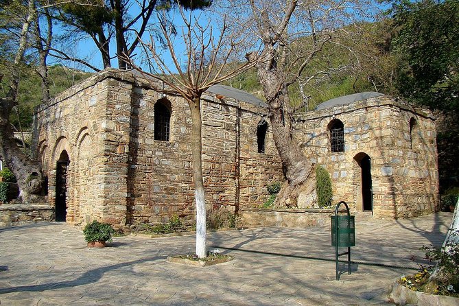 SKIP-THE-LINE: Group & Private Ephesus Tour ENTRY FEE & LUNCH - Temple of Artemis and the House of the Virgin Mary: big names, short visits