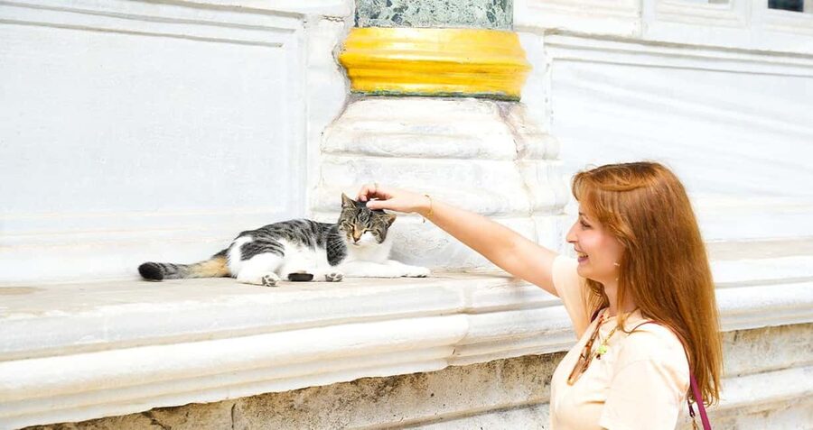 Topkapi Palace & Harem Tour + Bosphorus & Golden Horn Cruise - Price and What You Actually Get for $93