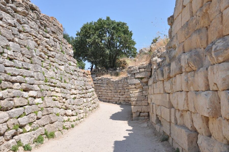 Troy: Full-Day Tour from Istanbul - Price and Value at $169: What You Pay For